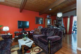 Photo 4: 4211 Belvedere Rd in VICTORIA: SE Lake Hill House for sale (Saanich East)  : MLS®# 769195