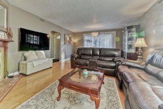 Photo 19: 2108 22 Avenue SW in Calgary: Richmond Detached for sale : MLS®# A1172163
