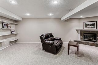 Photo 29: 139 Appletree Close SE in Calgary: Applewood Park Detached for sale : MLS®# A1022936