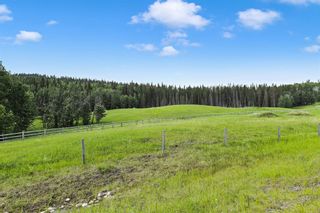 Photo 1: 0 Parkins Road: Millarville Residential Land for sale : MLS®# A1257087