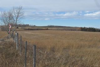 Photo 7: 240 Road: Rural Wheatland County Residential Land for sale : MLS®# A1185221