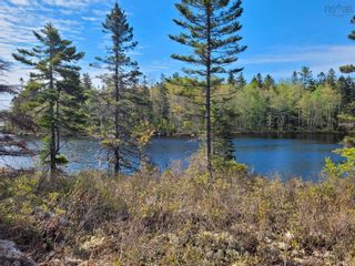 Photo 3: Lot 12 Virginia Road in West Springhill: Annapolis County Vacant Land for sale (Annapolis Valley)  : MLS®# 202211972