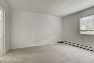 Photo 21: 32B 231 Heritage Drive SE in Calgary: Acadia Apartment for sale : MLS®# A1172862