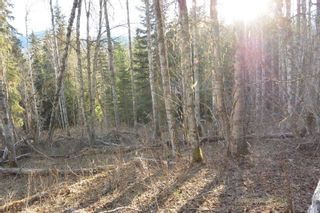 Photo 9: LOT A KLOECKNER Road in Smithers: Smithers - Rural Land for sale (Smithers And Area (Zone 54))  : MLS®# R2598861