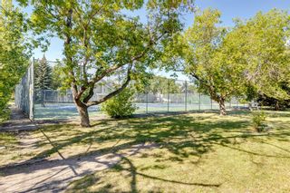 Photo 46: 2020 9 Avenue SE in Calgary: Inglewood Detached for sale : MLS®# A1250051