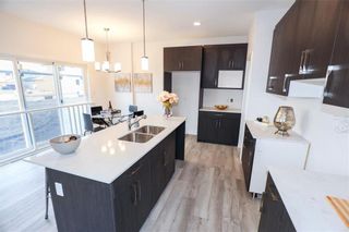 Photo 12: 43 Crystal Lake Terrace in Winnipeg: Prairie Pointe Residential for sale (1R)  : MLS®# 202224892