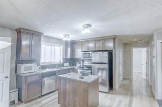 Photo 17: 304 Penworth Drive SE in Calgary: Penbrooke Meadows Detached for sale : MLS®# A2051004
