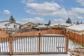 Photo 31: 51 Falwood Place NE in Calgary: Falconridge Detached for sale : MLS®# A2124446