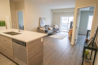 Photo 9: 314 50 Philip Lee Drive in Winnipeg: Crocus Meadows Condominium for sale (3K)  : MLS®# 202303487