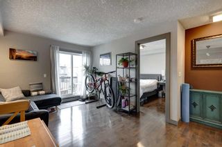Photo 7: 203 2411 29 Street SW in Calgary: Killarney/Glengarry Apartment for sale : MLS®# A2128044
