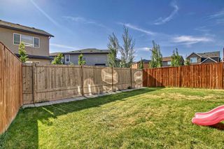 Photo 49: 228 Evansview Road NW in Calgary: Evanston Detached for sale : MLS®# A2055674