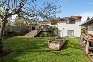 Photo 20: 2515 Victor St in Victoria: Vi Oaklands House for sale : MLS®# 899243