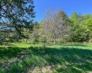 Photo 13: Lot C VICTORIA AVENUE in Kaslo: Vacant Land for sale : MLS®# 2476304
