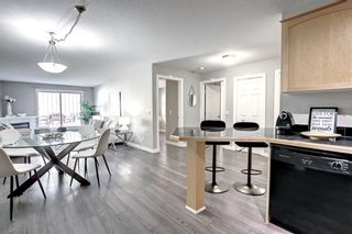Photo 13: 210 1631 28 Avenue SW in Calgary: South Calgary Apartment for sale : MLS®# A1234288