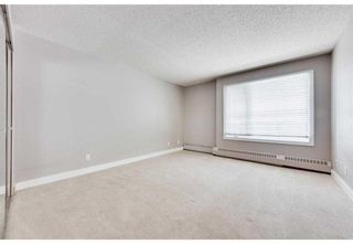 Photo 9: 305 3737 42 Street NW in Calgary: Varsity Apartment for sale : MLS®# A2129816