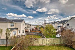 Photo 44: 10 Royal Elm Drive NW in Calgary: Royal Oak Detached for sale : MLS®# A2134931