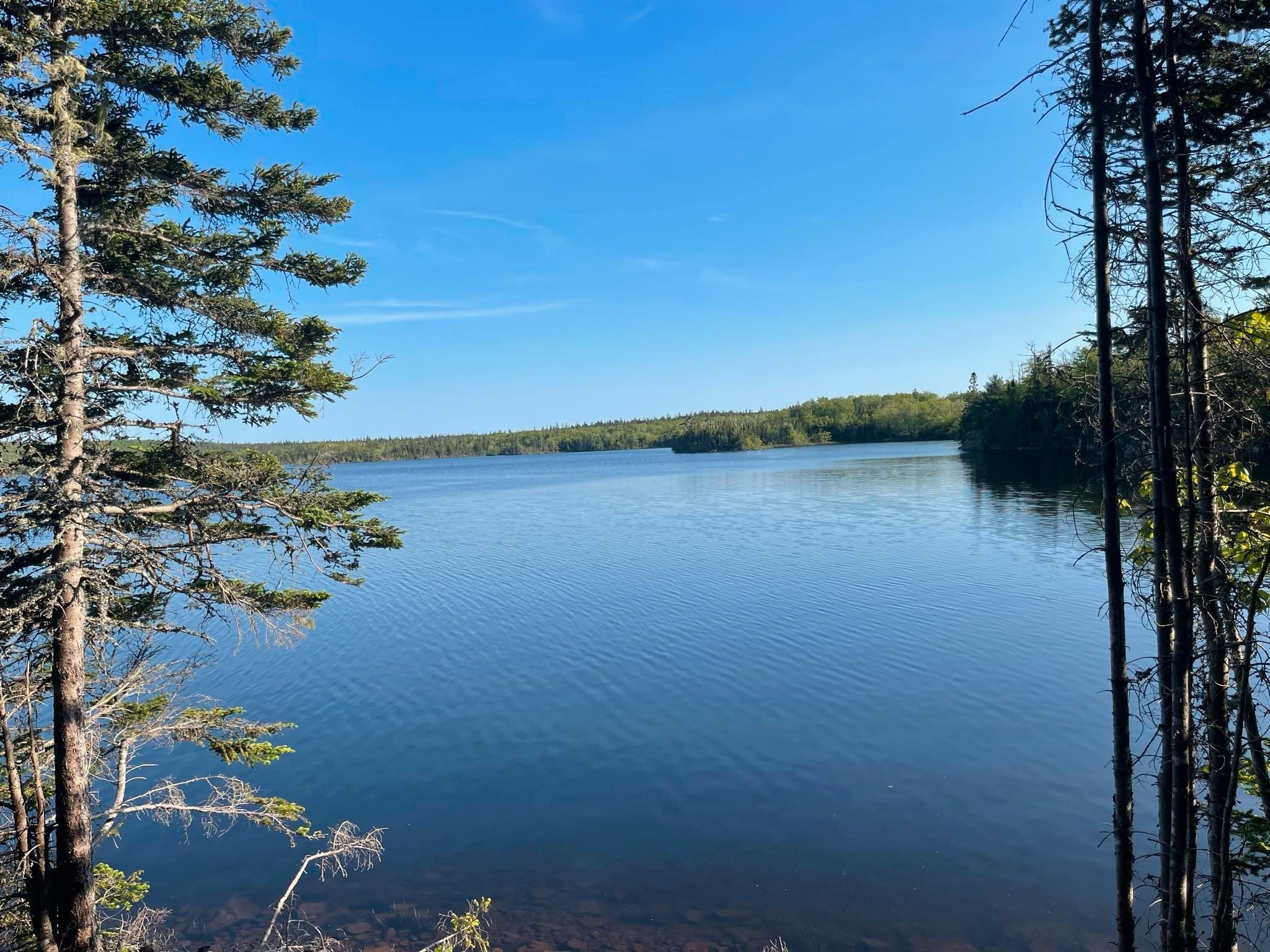 Main Photo: Lot Old Mulgrave Road in Grants Lake: 303-Guysborough County Vacant Land for sale (Highland Region)  : MLS®# 202325264