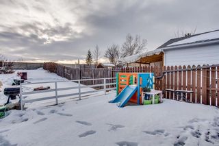 Photo 44: 111 ERIN RIDGE Road SE in Calgary: Erin Woods House for sale : MLS®# C4162823