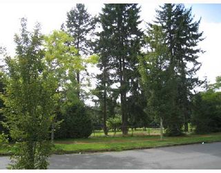 Photo 8: 2875 ROSEMONT Drive in Vancouver: Fraserview VE House for sale (Vancouver East)  : MLS®# V732917