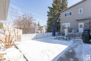 Photo 3: 9834 162 Street NW in Edmonton: Zone 22 House Half Duplex for sale : MLS®# E4382609