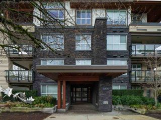 Photo 28: 101 3205 MOUNTAIN HIGHWAY in North Vancouver: Lynn Valley Condo for sale : MLS®# R2527517
