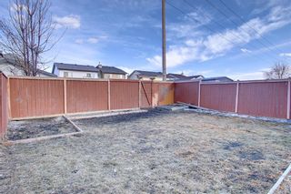 Photo 39: 30 Martin Crossing Way NE in Calgary: Martindale Detached for sale : MLS®# A1195474