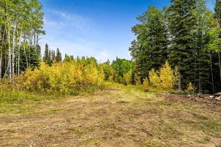 Photo 7: 64 Hawk's Landing Drive: Rural Foothills County Residential Land for sale : MLS®# A2079106