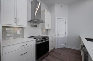 Photo 6: 402 227 Stafford Avenue in Winnipeg: Condominium for sale (1B)  : MLS®# 202201849
