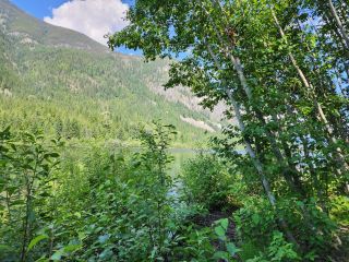 Photo 16: 206 ISLAND VIEW ROAD in Nakusp: Vacant Land for sale : MLS®# 2475414