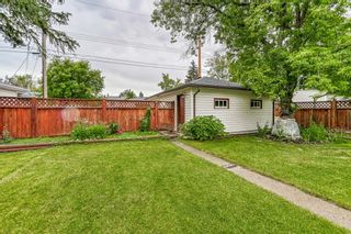 Photo 24: 3427 31 Street SW in Calgary: Rutland Park Detached for sale : MLS®# A2023471