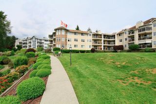 Photo 26: 318 22611 116 Avenue in Maple Ridge: East Central Condo for sale in "ROSEWOOD COURT-FRASERVIEW" : MLS®# R2882360