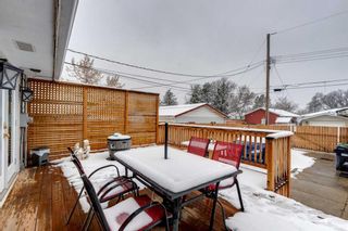 Photo 31: 2533 Sable Drive SE in Calgary: Southview Detached for sale : MLS®# A2120099