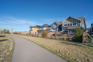 Photo 49: 35 Marquis Green SE in Calgary: Mahogany Detached for sale : MLS®# A2002195