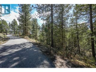 Photo 24: 222 Grizzly Place in Osoyoos: Vacant Land for sale : MLS®# 10310334