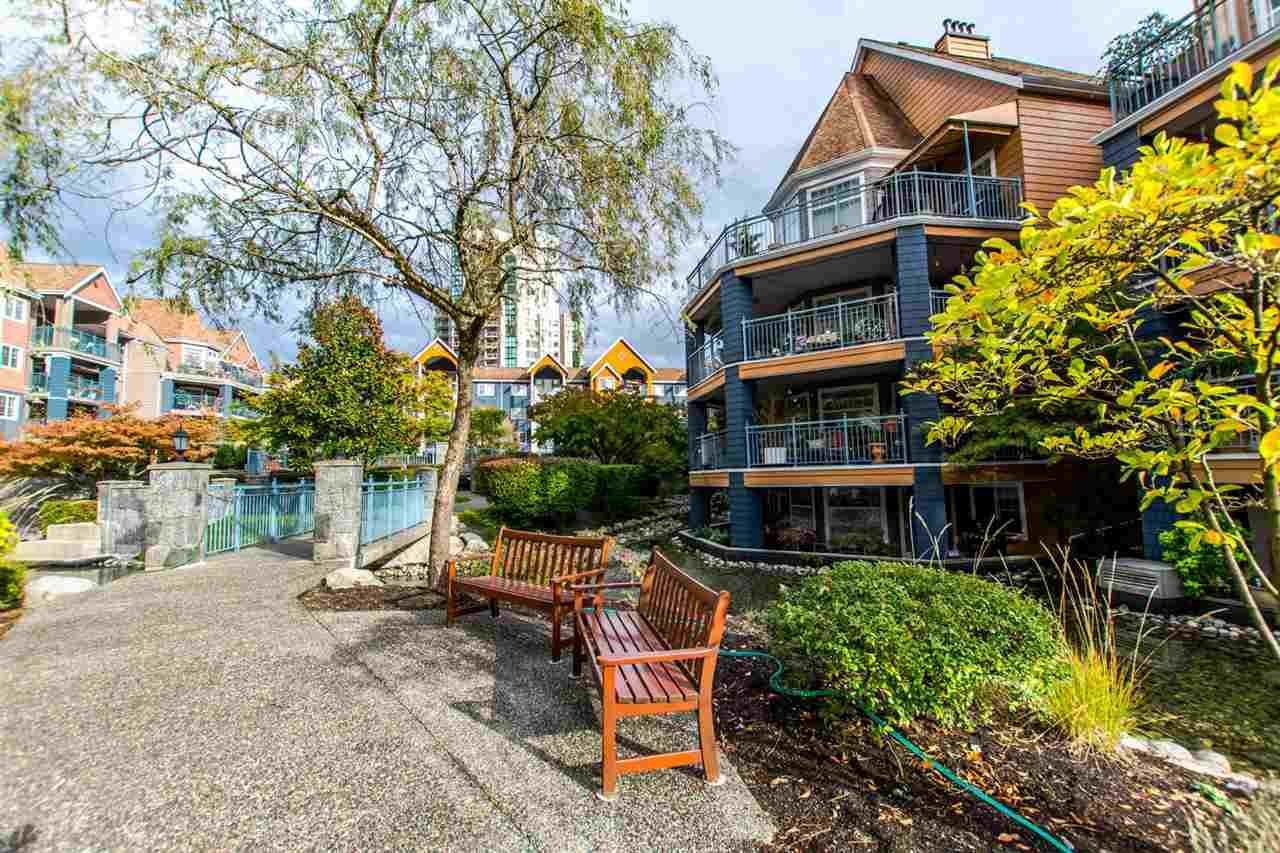 Main Photo: 211 1190 EASTWOOD Street in Coquitlam: North Coquitlam Condo for sale in "LAKESIDE TERRACE" : MLS®# R2114677