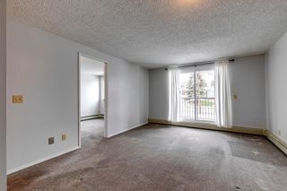 Photo 16: 110 280 Banister Drive: Okotoks Apartment for sale : MLS®# A2128088