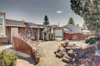 Photo 33: 5608 Brenner Crescent NW in Calgary: Brentwood Detached for sale : MLS®# A1100107