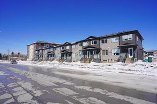 Photo 29: 107 185 Peguis Street in Winnipeg: Devonshire Village Condominium for sale (3K)  : MLS®# 202304789