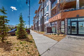 Photo 25: 2419 681 Savanna Boulevard NE in Calgary: Saddle Ridge Apartment for sale : MLS®# A2142775