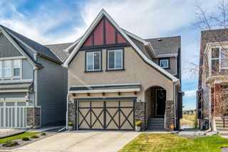 Photo 49: 173 Marquis Point SE in Calgary: Mahogany Detached for sale : MLS®# A1217451