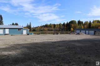 Photo 34: 75040 B & C TWP RD 451: Rural Wetaskiwin County House for sale : MLS®# E4368759