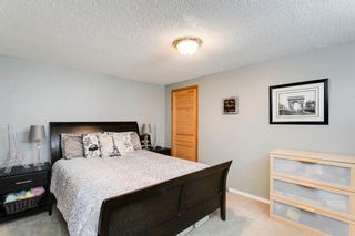Photo 35: 3623 3 Street SW in Calgary: Parkhill Detached for sale : MLS®# A1242843
