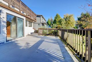 Photo 16: 3530 W 33RD Avenue in Vancouver: Dunbar House for sale in "DUNBAR" (Vancouver West)  : MLS®# R2217833