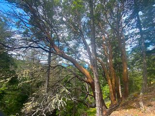 Photo 2: Lot 11 DISTRICT LOT 71 AND 77: Galiano Island Land for sale (Islands-Van. & Gulf)  : MLS®# R2871792