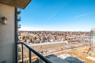 Photo 21: 1507 8880 Horton Road SW in Calgary: Haysboro Apartment for sale : MLS®# A2115276