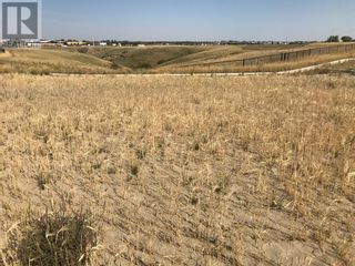 Photo 4: 123 Sandstone Road S in Lethbridge: Vacant Land for sale : MLS®# A1037687
