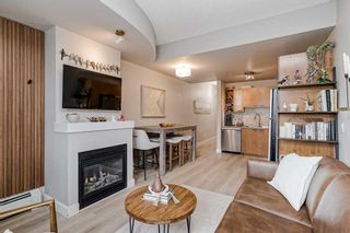 Photo 8:  in Calgary: Mission Apartment for sale : MLS®# A2118884
