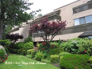 Photo 10: # 205 444 W 49TH AV in Vancouver: South Cambie Condo for sale (Vancouver West)  : MLS®# V1028974