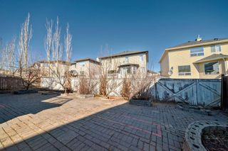 Photo 42: 202 TOPAZ Gate: Chestermere Detached for sale : MLS®# A2110670