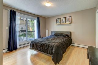 Photo 16: 4 927 19 Avenue SW in Calgary: Lower Mount Royal Apartment for sale : MLS®# A2054529